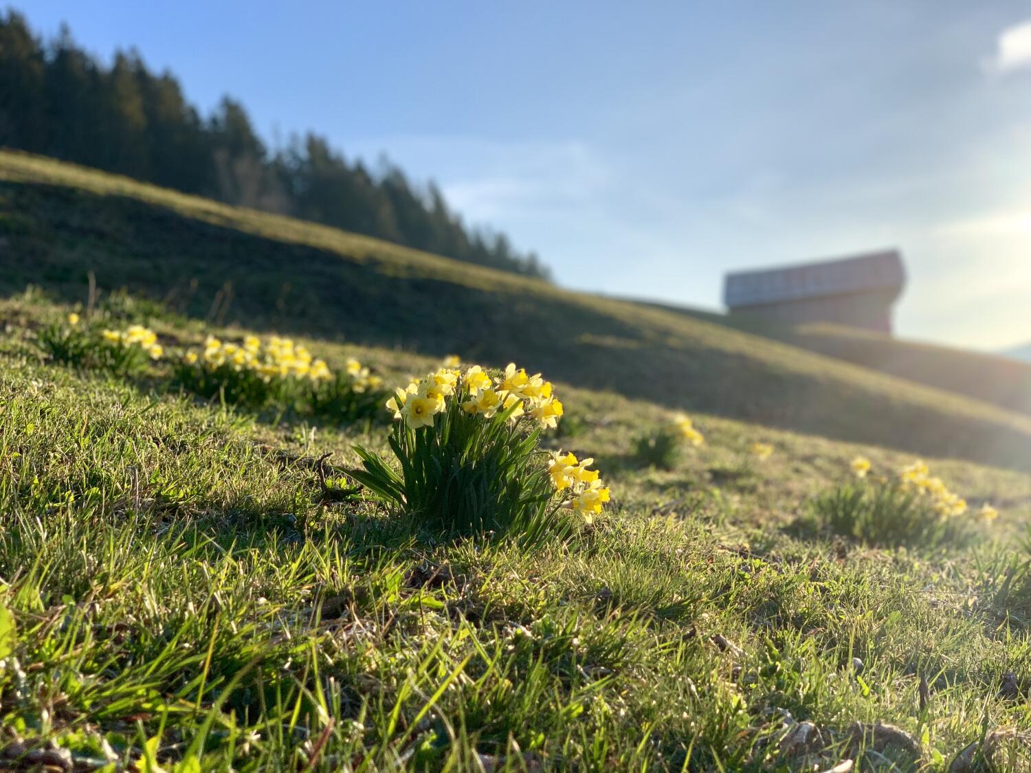 Promenade | Tour du Crêt à Rougemont par le Col de la Forcla